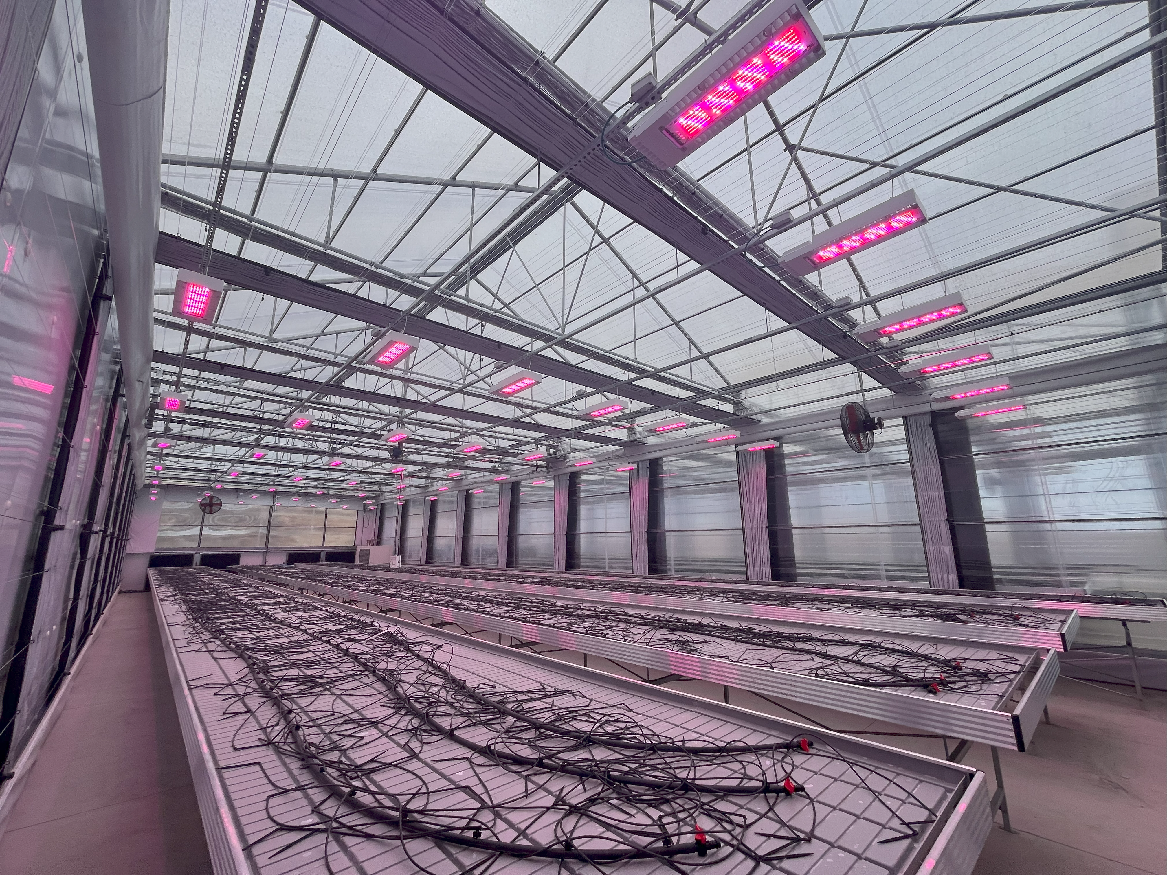 Exterior view of greenhouse modules